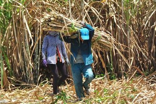 Rúng động vụ 'tham nhũng chính sách' ở Trà Vinh