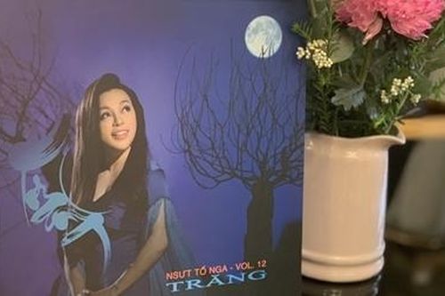 NSƯT Tố Nga: Nỗ lực làm mới mình