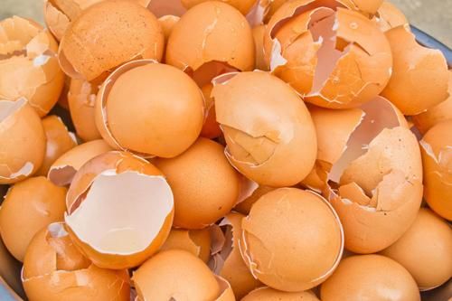 Ăn trứng xong đừng vứt bỏ, hãy nướng lên bạn sẽ thấy ngay tác dụng diệu kỳ