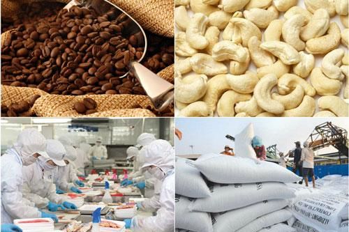Nông nghiệp xuất siêu hơn 6 tỷ USD trong 8 tháng 2020