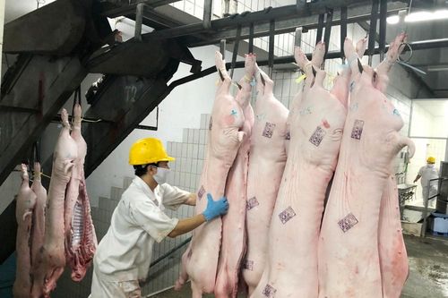 Đến cuối năm thị trường thịt heo sẽ bình ổn
