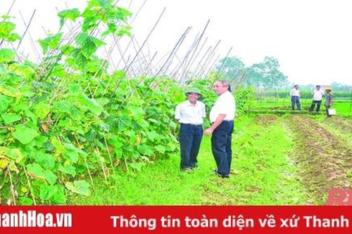 Nông dân thời hội nhập: Khi nông dân đổi mới tư duy sản xuất