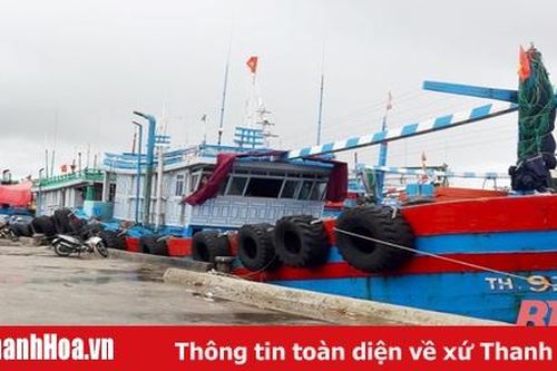 Thị xã Nghi Sơn với công tác phòng, chống thiên tai và tìm kiếm cứu nạn