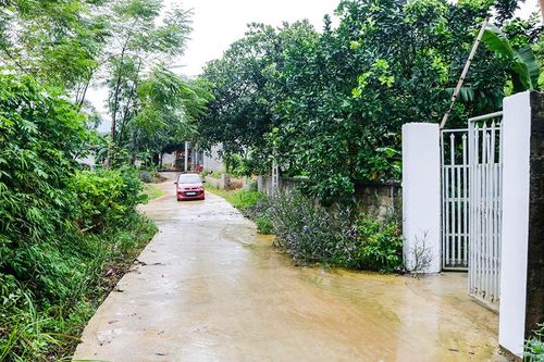 Thanh Sơn tập trung phát triển giao thông nông thôn