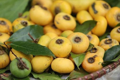 Hương mùa thu
