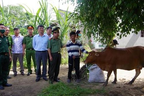 Tặng bò giống cho gia đình khó khăn