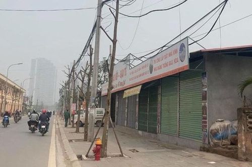 Trên đường Sa Đôi (quận Nam Từ Liêm): Nhiều cây chết khô, hố đất nham nhở