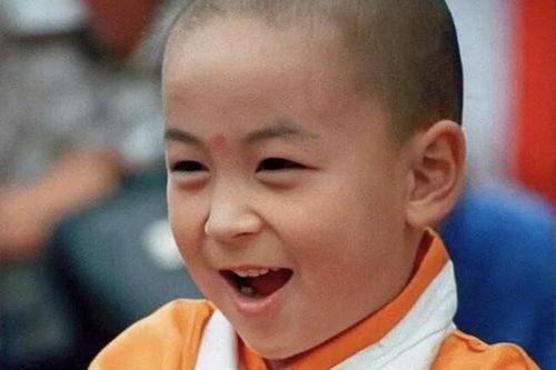 Sự nghiệp lận đận của những 'thần đồng võ thuật' Trung Hoa đình đám một thời