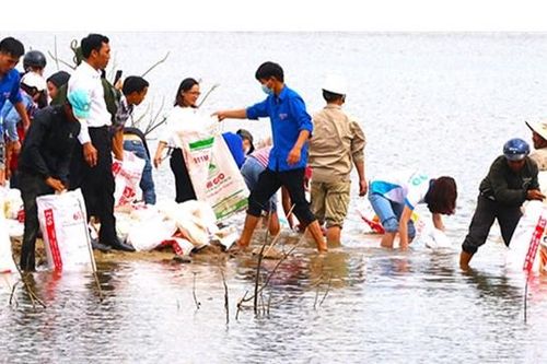 Gia Lai: Thả hơn 80 nghìn con cá giống xuống lòng hồ thủy điện Ka Nak