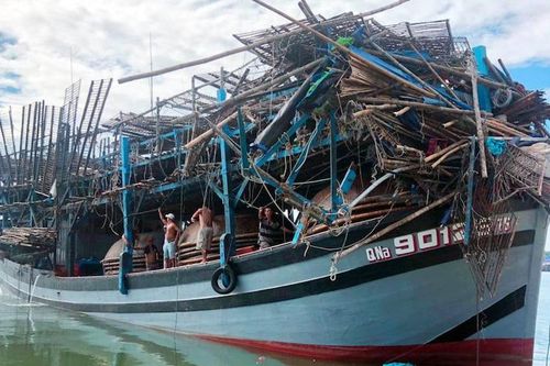 Truy tìm tàu hàng đâm tàu câu mực của ngư dân Quảng Nam