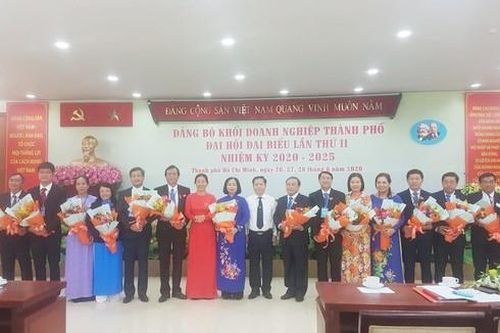 Đồng chí Lê Thị Hồng Hậu tái đắc cử Bí thư Đảng ủy Khối Doanh nghiệp TPHCM, nhiệm kỳ 2020-2025