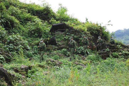 Quyết liệt ngăn chặn hoạt động xuất, nhập cảnh trái phép