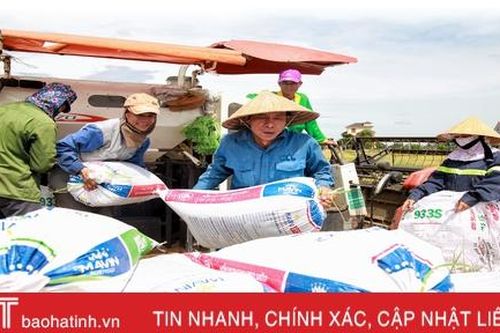 Chủ tịch UBND tỉnh Hà Tĩnh yêu cầu đẩy nhanh tiến độ thu hoạch lúa hè thu