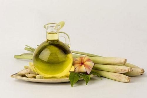 Cách làm tinh dầu sả đuổi muỗi vừa an toàn lại hiệu quả