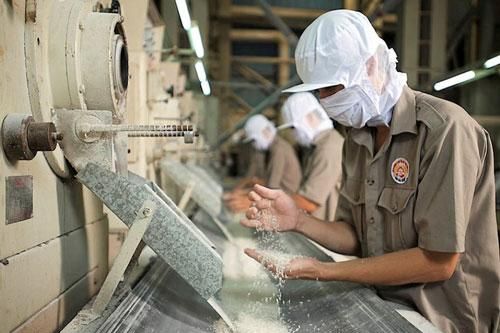 Đóng lô gạo đầu tiên xuất khẩu vào EU với thuế suất 0%