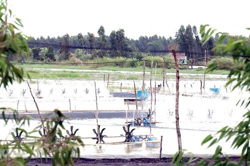 Kiên Giang: Cuộc sống đồng bào Khmer khá giả nhờ điện lưới quốc gia