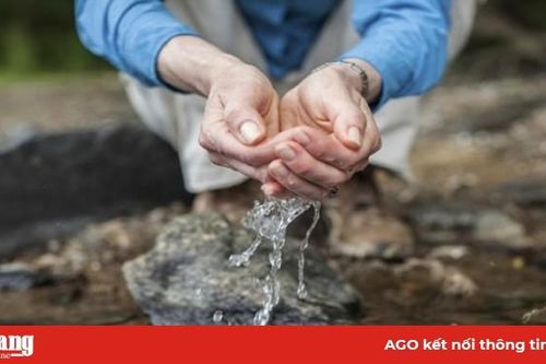 Phối hợp phòng ngừa và xử lý vi phạm, bảo vệ chất lượng nước