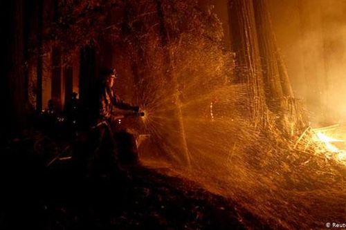 Cháy rừng California (Mỹ): Cần sự trợ giúp quốc tế