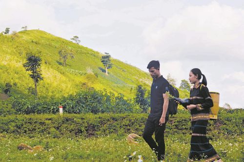 Lên núi mùa thu