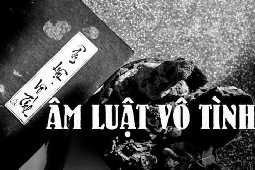Sách 'Âm luật vô tình' có đúng với Chánh pháp?