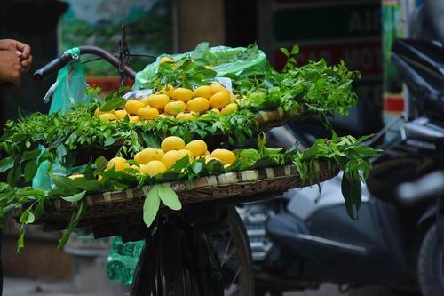 Những món quà thu Hà Nội khiến lòng người rưng rưng