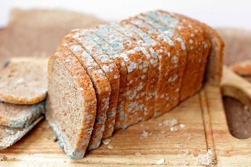 Thực phẩm nấm mốc: Chớ nên 'tiếc của'
