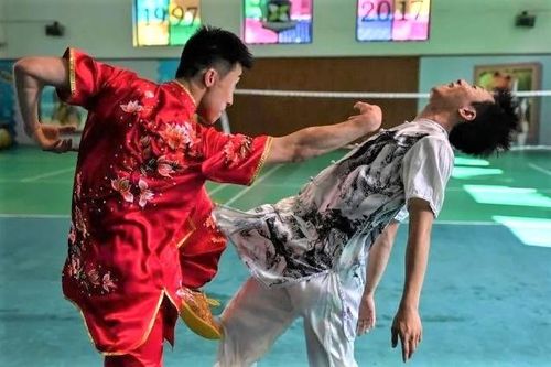 Võ túy quyền Trung Quốc lao đao