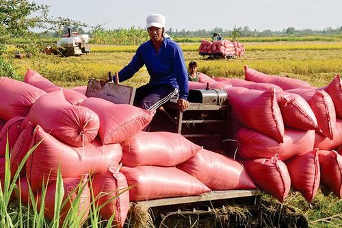 TP Hồ Chí Minh thực hiện nếp sống văn hóa, văn minh đô thị