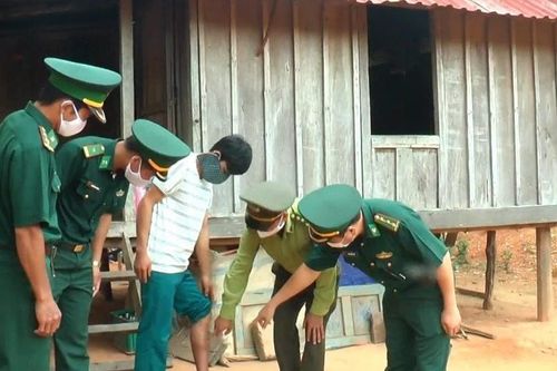 Đề xuất dùng chó nghiệp vụ xua đuổi đàn voọc quý vào rừng sâu
