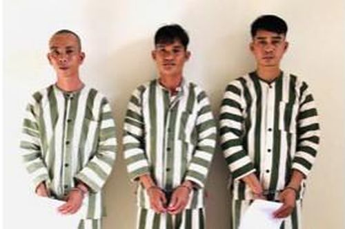 Tây Ninh: Khởi tố nhóm tổ chức xuất nhập cảnh trái phép