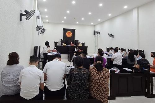 Cty TDS - Trường Newton: Luật sư đề nghị vô hiệu hợp đồng ngày 23/01/2017
