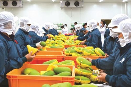 'Cỗ xe tam mã': Lời giải cho bài toán tăng trưởng