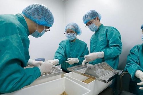 Thời sự 24H ngày 29/8: Việt Nam có thể tiêm thử nghiệm vắc xin COVID-19 trên người vào tháng 12