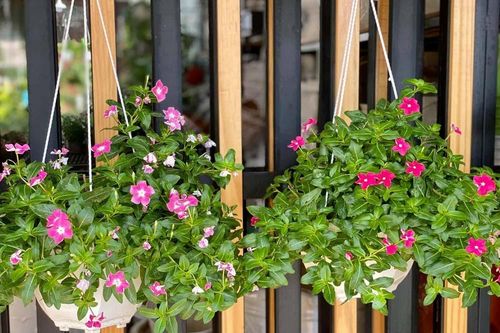 Tờ kết quả ADN làm lộ bí mật của người vợ xinh đẹp