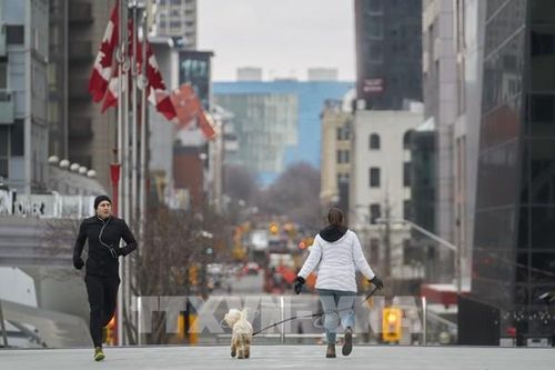 Kinh tế Canada sụt giảm kỷ lục trong quý II/2020