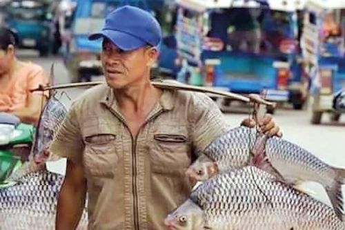 Qua sông Bé, ghé… cá duồng
