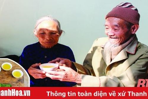 Cây chè Thanh Hóa và giống chè ngon Yên Lược