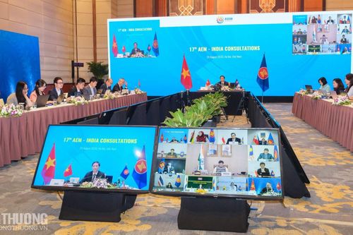 ASEAN - Ấn Độ chung tay đẩy lùi đại dịch, ổn định kinh tế vĩ mô