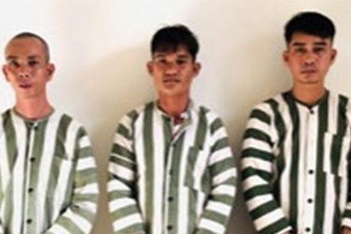 Bắt nhóm đối tượng tổ chức xuất nhập cảnh trái phép