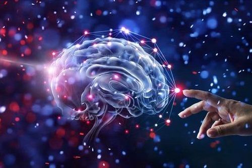 Cân nặng ảnh hưởng thế nào đến não? Kết quả đáng sợ khi quét não