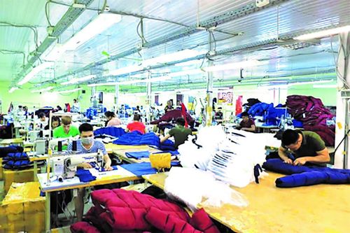 Doanh nghiệp Việt ở Nga vượt khó