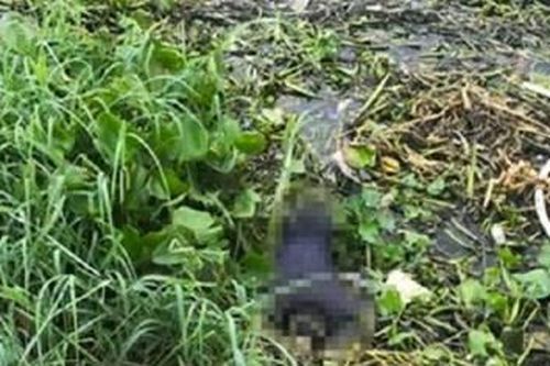 Tìm thân nhân người phụ nữ tử nạn trên sông Sài Gòn