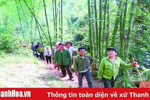 Huyện Quan Hóa: Xã hội hóa công tác bảo vệ và phát triển rừng hiệu quả