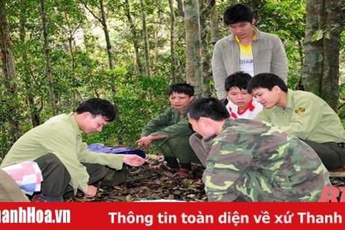 Huyện Thường Xuân chủ động bảo vệ và phát triển rừng