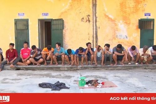 Công an huyện Phú Tân bắt 16 đối tượng đá gà ăn tiền
