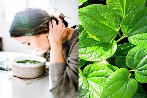 Thuốc Nam phòng trị bệnh mùa mưa lũ