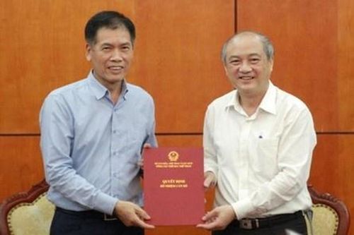 Ông Trần Đức Phấn phụ trách Tổng cục TDTT