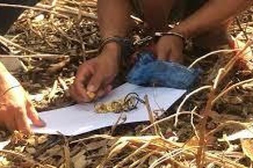 Con rể trộm vàng của mẹ vợ