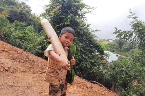 Măng tre, rau rừng gửi miền xuôi chống dịch