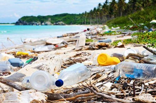 Costa Rica sẽ cấm đồ nhựa dùng một lần tại các khu bảo tồn
